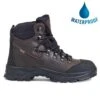 Aigle Mens Laforse 2 MTD Waterproof Boots - Dark Brown -Shoe Sales Shop Aigle Laforse2 MainWtpf